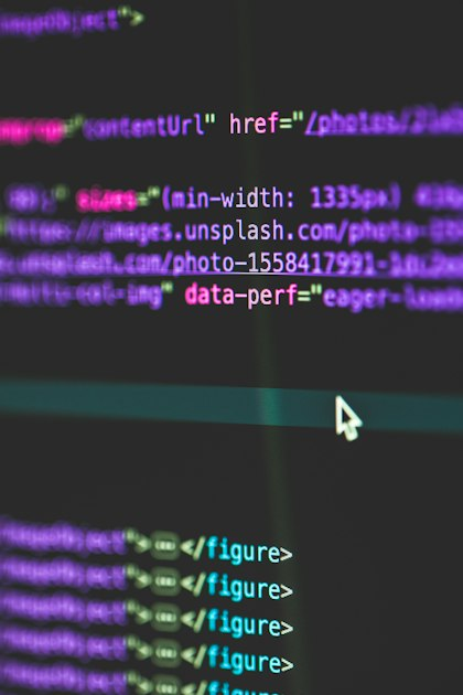 Essential WordPress Plugins